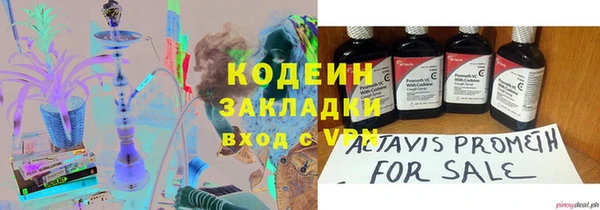 ECSTASY Бородино